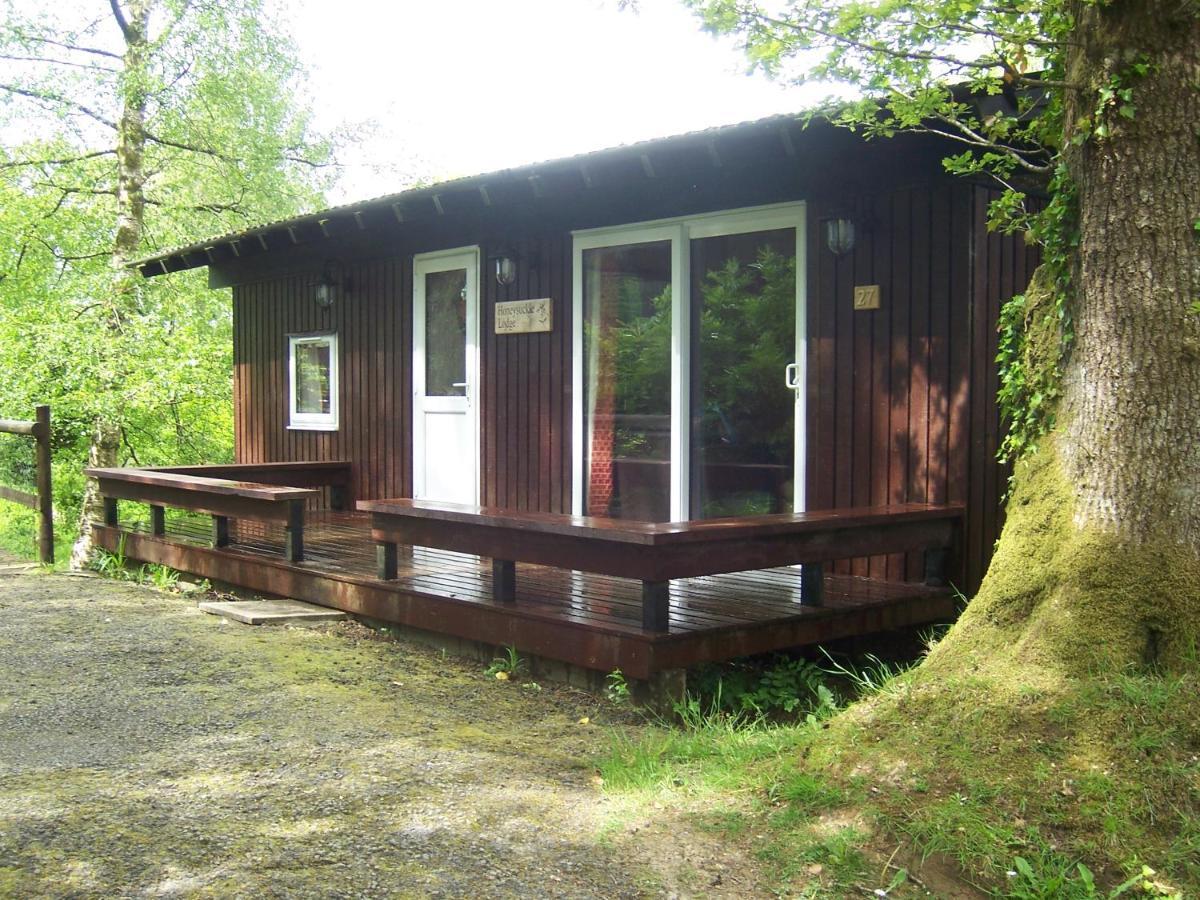 Honeysuckle Lodge Set In A Beautiful 24 Acre Woodland Holiday Park Newcastle Emlyn Exterior foto